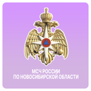 large_1-1_2.png